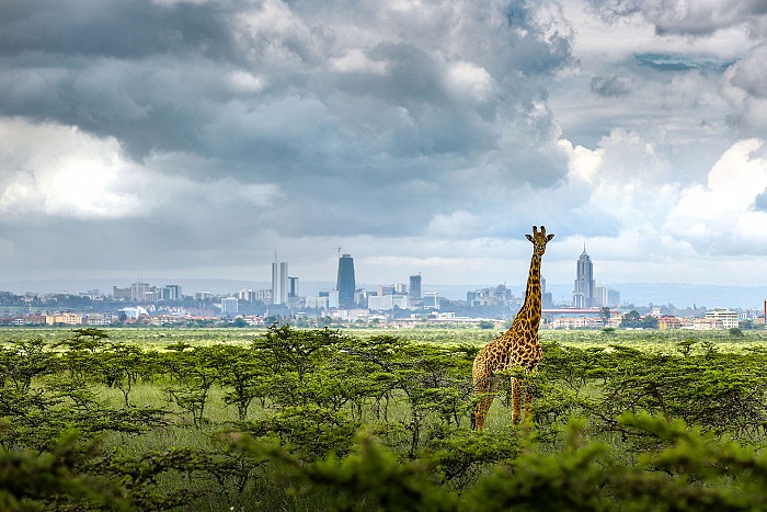 NAIROBI 0.jpg